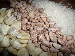 SAMSUNG CAMERA PICTURES